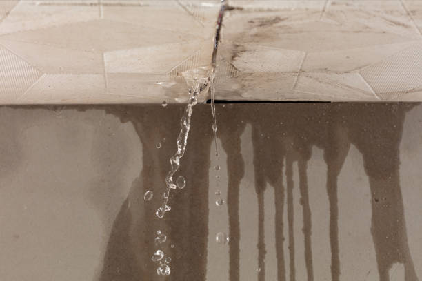 Professional Structural Drying technician working in Bishop, CA